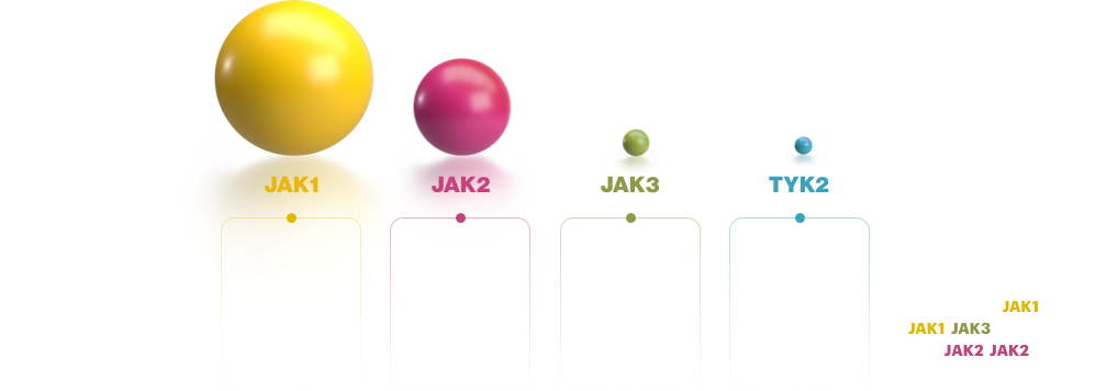 JAK1 JAK2 JAK3 and TYK2 inhibitory potency