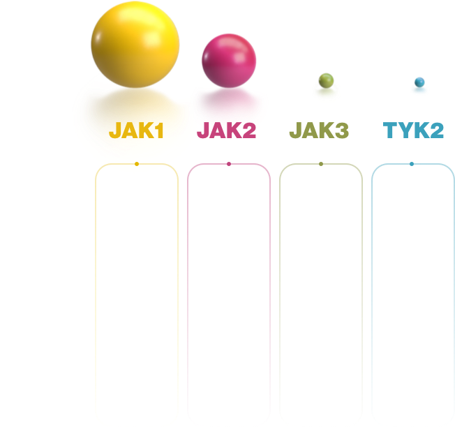 JAK1 JAK2 JAK3 and TYK2 inhibitory potency