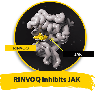 RINVOQ inhibits JAK