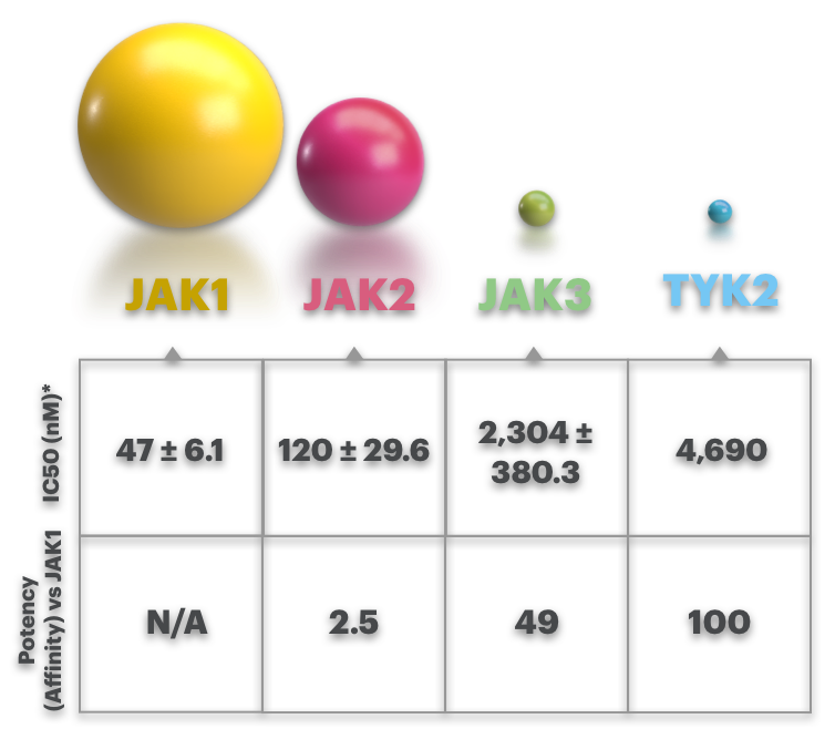 RINVOQ inhibitory potency for JAK1 and JAK2 relative to JAK3 and TYK2 chart.