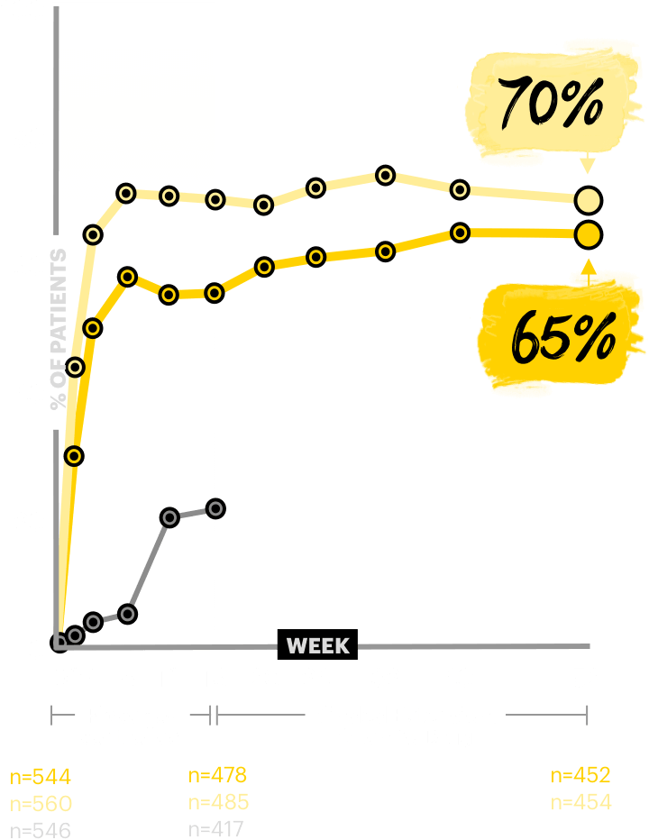 Chart showing itch relief at Week 52 in a blinded to dose extension study.
