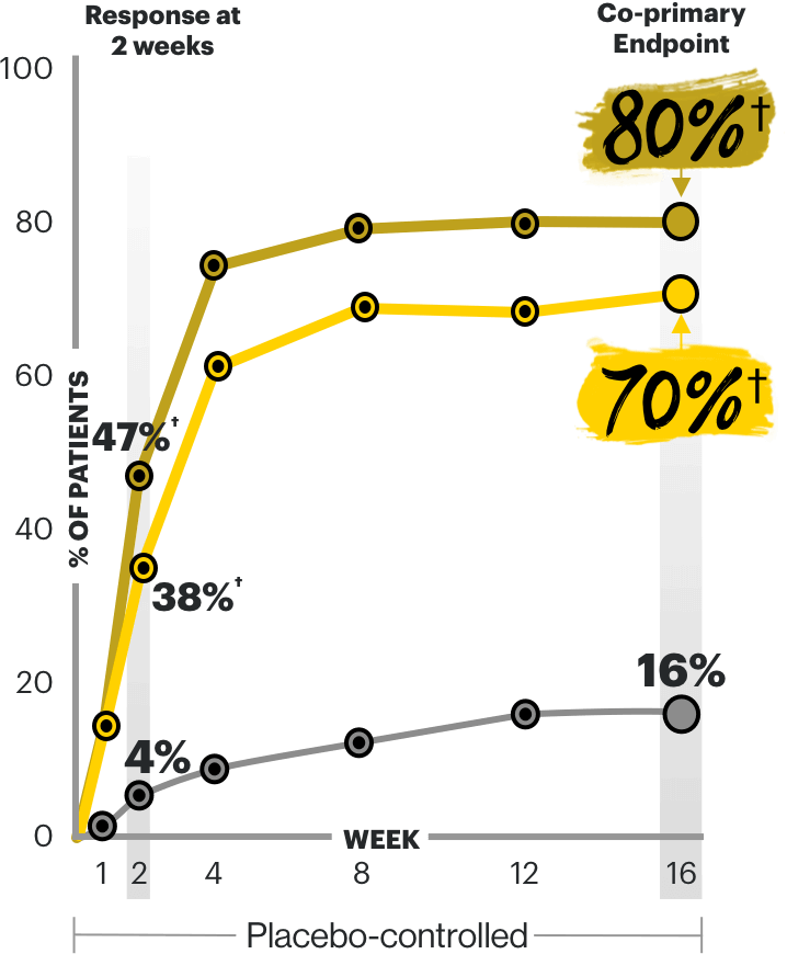 Chart showing EASI 75 at Week 16 in the Measure Up 1 trial.