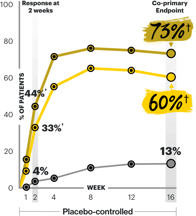 Chart showing EASI 75 at Week 16 in the Measure Up 2 trial.