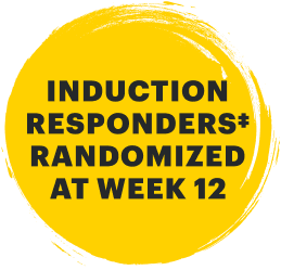 Induction responders randomized at Week 12