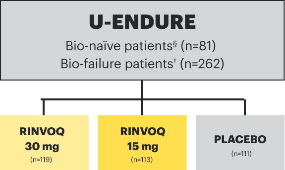 U-ENDURE Bio-naïve patients (n is equal to 81), Bio-failure patients (n is equal to 262), RINVOQ 30mg (n is equal to 119), RINVOQ 15mg (n is equal to 113), Placebo (n is equal to 111)