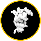 Mechanism of disease.