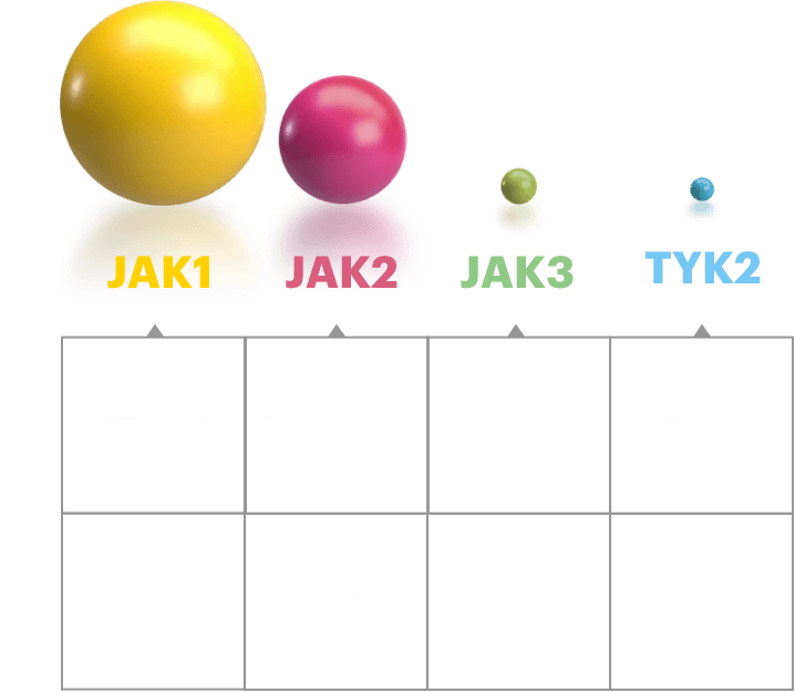 RINOVQ inhibitory potency for JAK1 and JAK2 relative to JAK3 and TYK2 chart.