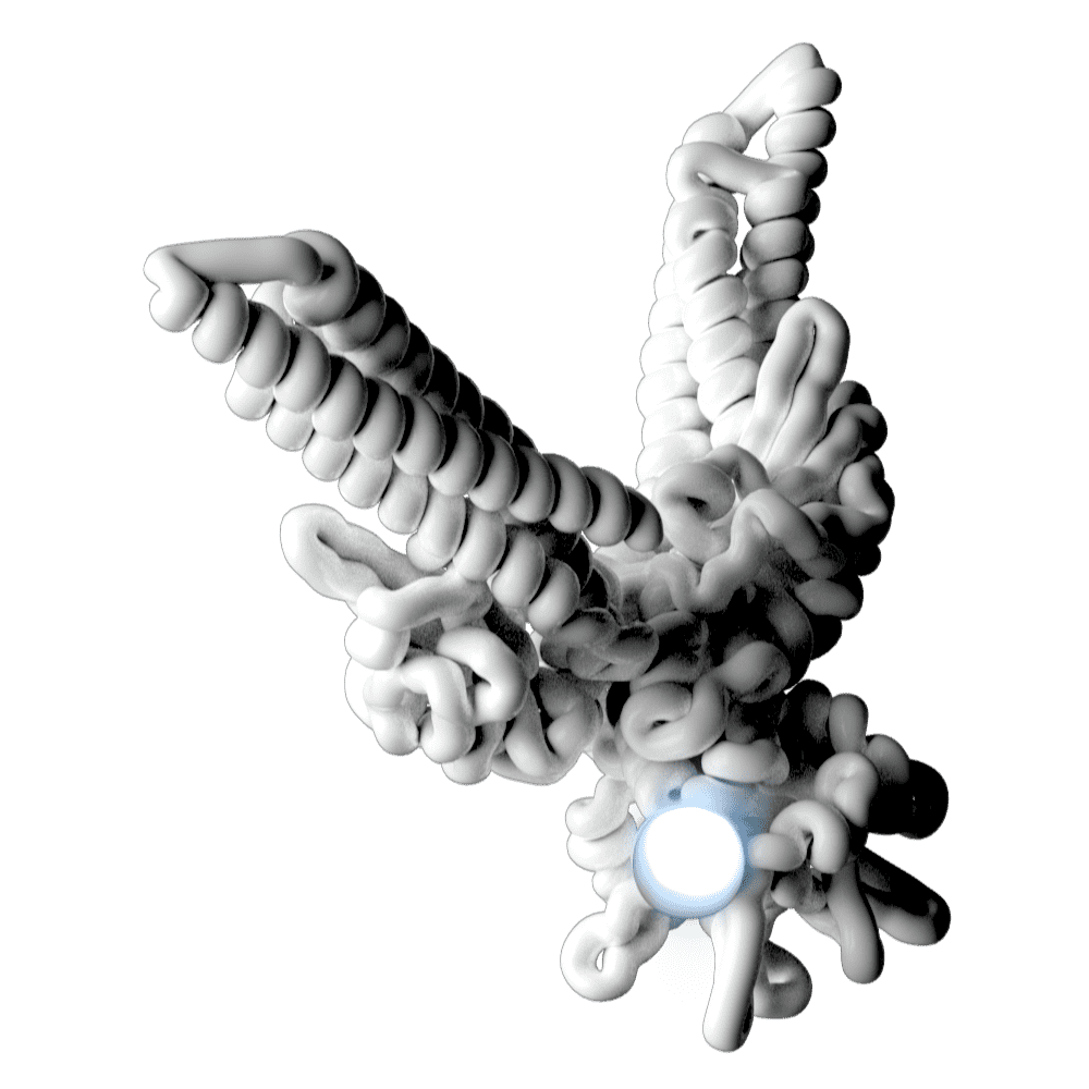 JAK Inhibitor